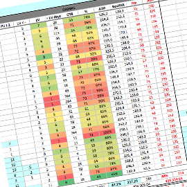 Formation pour Yield Manager et Revenue Manager souhaitant se perfectionner aux techniques de Revenue Management en hôtellerie